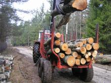 Sprzedaż drewna i choinek