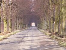 OBSZARY CHRONIONEGO KRAJOBRAZU