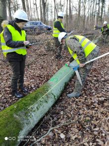 Szkolenie z nowych warunków technicznych na surowiec drzewny.