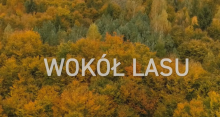 Wokół lasu odc. 1 Smaczne z lasu - dziczyzna