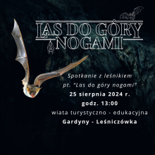 Las do góry nogami