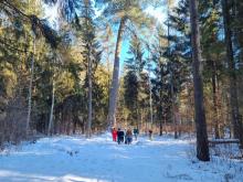 Zimowy spacer z leśnikiem